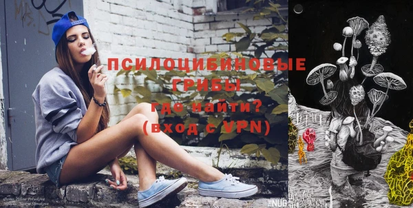 хмурый Белокуриха