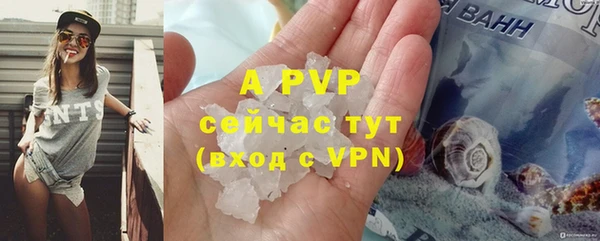 ECSTASY Богородицк
