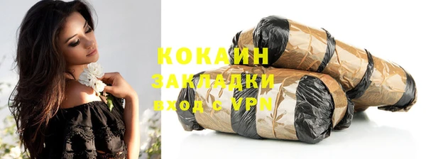 хмурый Белокуриха