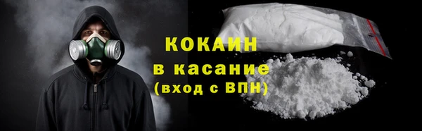 хмурый Белокуриха