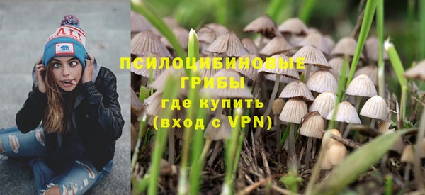 a pvp Богданович
