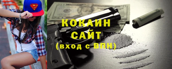 хмурый Белокуриха