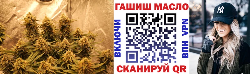 МЕГА tor  Северск  ТГК гашишное масло 