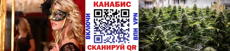 Канабис Amnesia  цены наркотик  Северск 